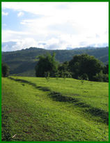 Sanexai District