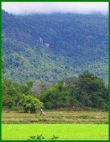 Tad Phok in Ban Lanyao