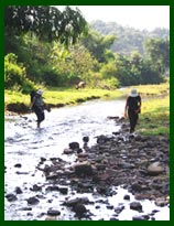 The Nam Mai River in Vieng Phoukha