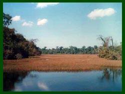 Nong Lom Lake in Savannakhet