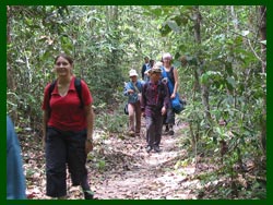 Learn how Savannkhet villagers use the forest