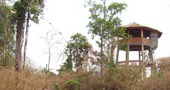 Elephant Tower at Ban Na