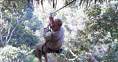 The Gibbon Experience