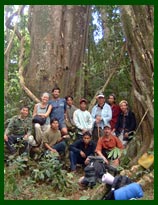 Trekers taking a break in the forest of Vieng Phoukha, Luang Namtha