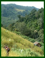 Trek through Khamu and Lahu villages