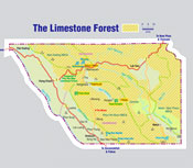 Map of the Limestone Forest