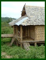 Village Lodge in Muang Sing