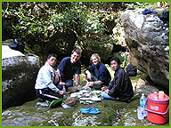 Picnic Lunch