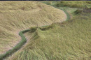Rice fields, Phonsavan, XIENG KHUANG
