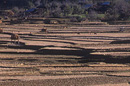 Rice fields, Phonsavan, XIENG KHUANG