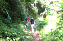 Nammat Trail, Luang Namtha