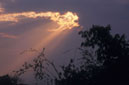 Sunset and bamboo tree, Muang Sing District, LUANG NAM THA