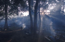 Smoke from cocking fires Muang Sing District, LUANG NAM THA
