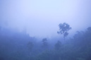 Clouds in the hills Muang Sing District, LUANG NAM THA