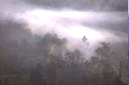Clouds in the hills Muang Sing District, LUANG NAM THA