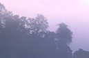 Misty hills at dusk Muang Sing District, LUANG NAM THA
