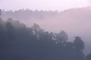 Misty hills at dusk Muang Sing District, LUANG NAM THA