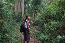 Hiking in the jungle, Lao Pako, Vientiane