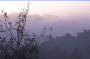 Misty hills at dusk Muang Sing District, LUANG NAM THA