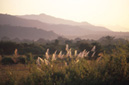Sunset over hills Muang Sing District, LUANG NAM THA