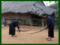 Hmong musicians