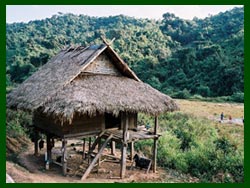 A field hut on Vieng Phoukha's Phou Mot trek