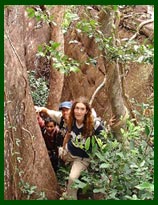 Trekker in the forest in Savannakhet