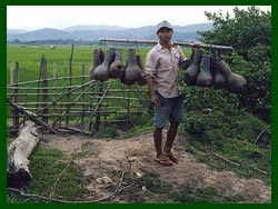 Ban Piang Ngam Villager catching eels on the Nam Ngaen River in Luang Namtha