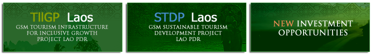 Projects in Laos