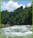 Nam Champi River