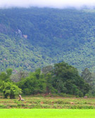 Tad Phok in Attapeu Province