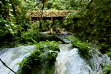 Tad Thong Waterfall 