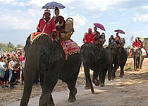 elephant_fest