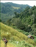 Vieng Phou Kha