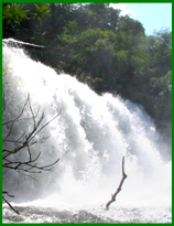 Tad Samongphak