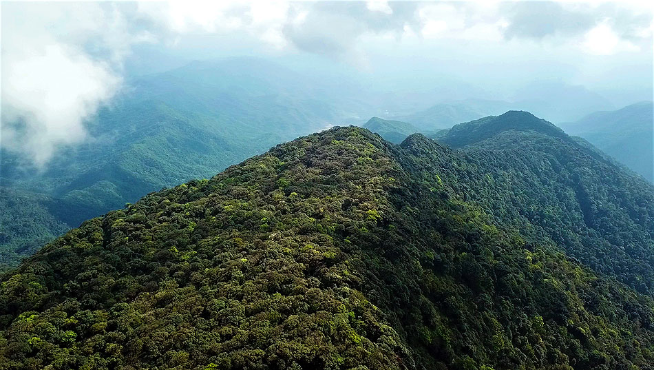 Nam Et Phou Louey Laos