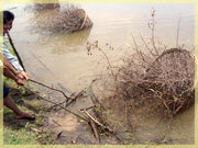 Giant fish trap ('Kha'), Ban Don Daeng