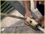 Mouse-trap, Ban Phalaem