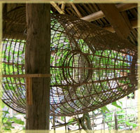 Shrimp basket trap in Muang Ngoi Kao