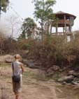 Wild Elephants Observatory
