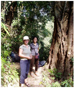Vieng Phoukha
