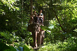 Trekking