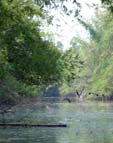 The World Wildlife Federation is using tourism to support protect of biodiversity